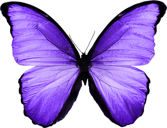 Deok's Deneme Ürünü